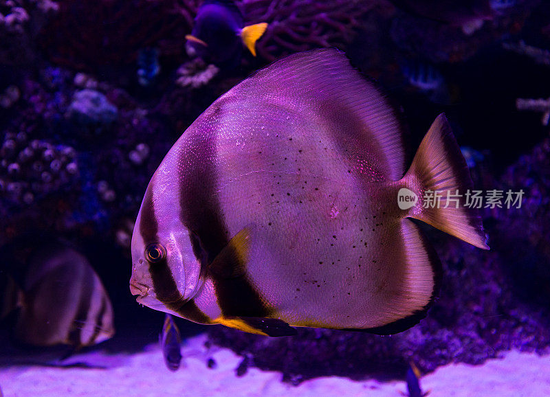 礁水族馆场景