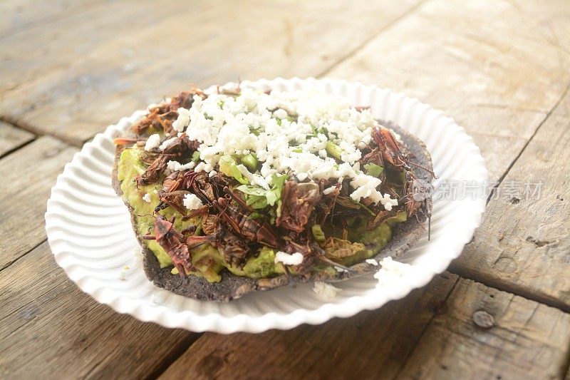 蚱蜢墨西哥玉米卷，可食用的昆虫玉米饼烤面包，以蓝玉米和鳄梨酱，奶酪和香菜从墨西哥市场