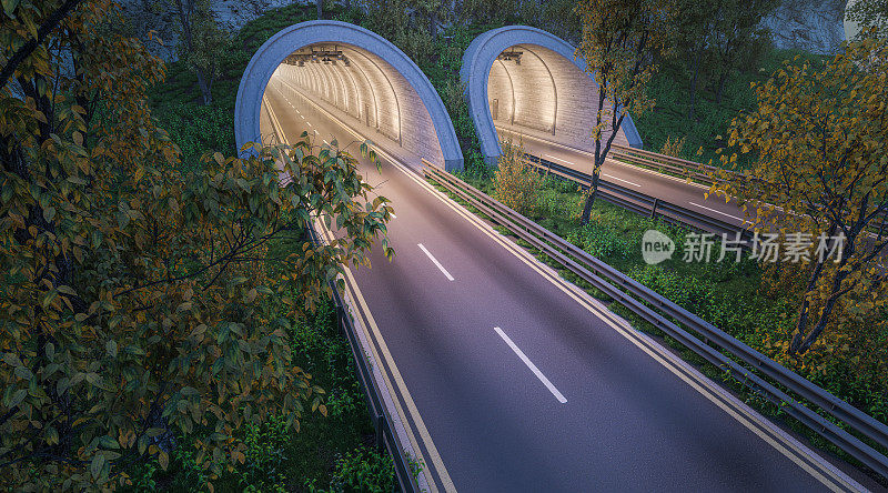 隧道和空旷的道路与树木和植物