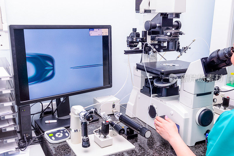 胚胎学家在生殖诊所实验室将精子加入卵子。有选择性的重点