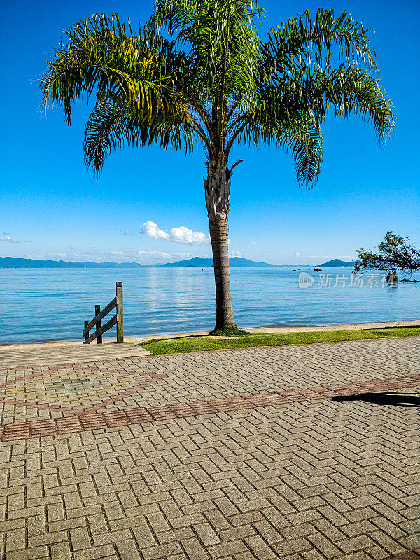 边境上有椰子树和FLorianópolis的木板路，可以看到大海