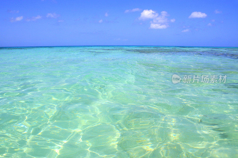 沐浴在夏日阳光下的海滩-田园般的岚溪热带海滩，阳光明媚的蓝绿色半透明系泊泻湖，夏日天堂，阿鲁巴-荷属安的列斯群岛，加勒比海蓝色海洋