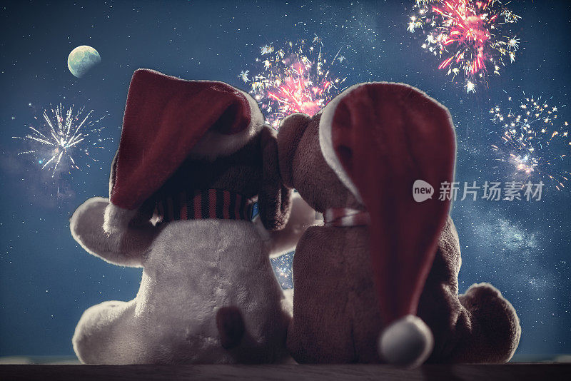 两只泰迪熊正在享受圣诞和新年夜