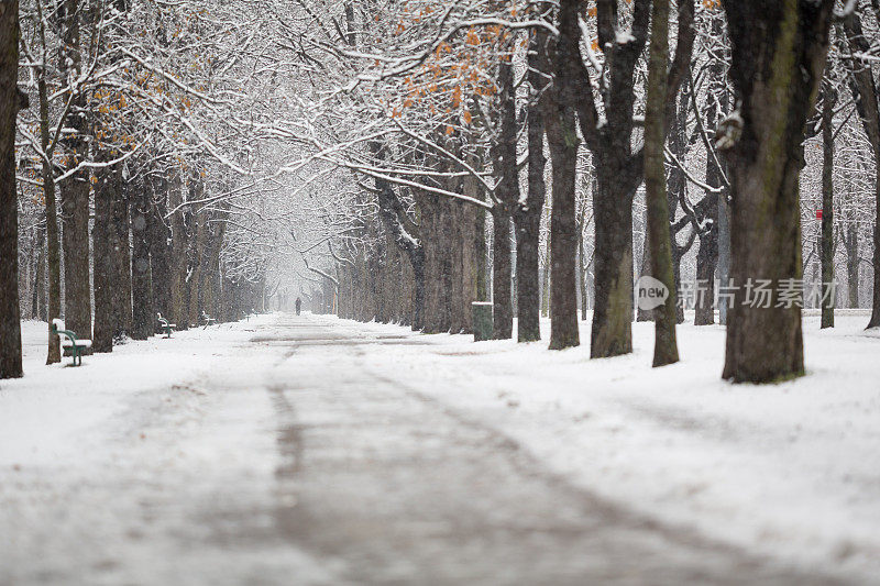 四季-空旷的乡村道路与树木和雪在冬天