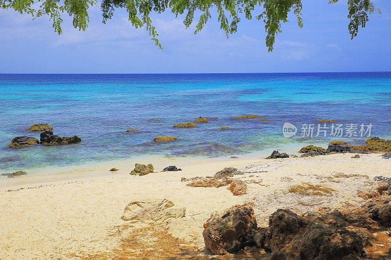 田园诗般的热带绿松石海滩与棕榈树的影子，巴巴多斯-夏季天堂，加勒比海蓝色的海