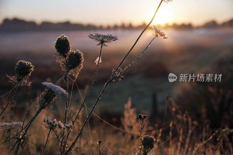 日出时朦胧的景色