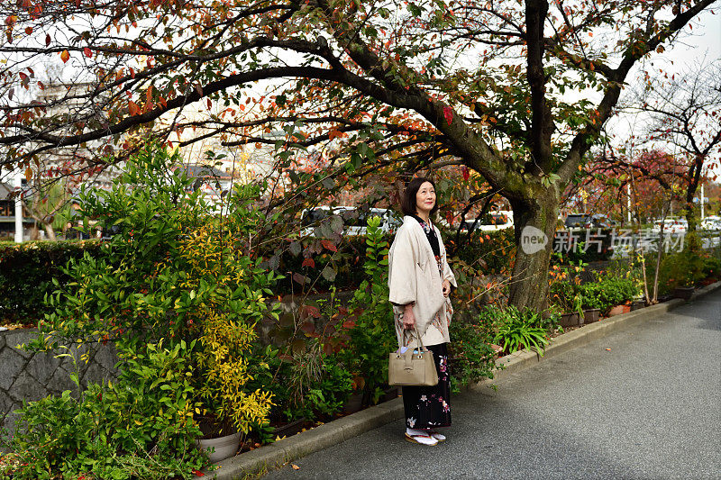 穿着和服的日本妇女行走在京都加茂河畔