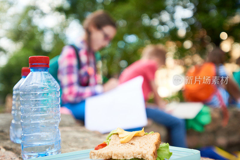 学校午餐三明治和瓶装水