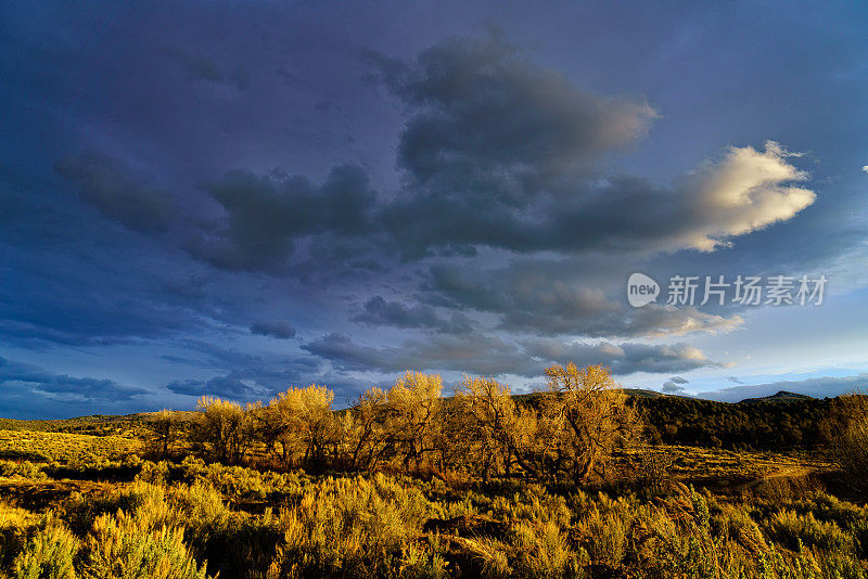 戏剧性的云山景观与杨木树