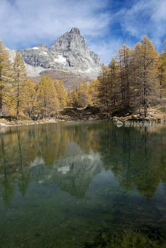 秋天的蓝色湖泊和马特洪峰的背景，黄松-垂直视图