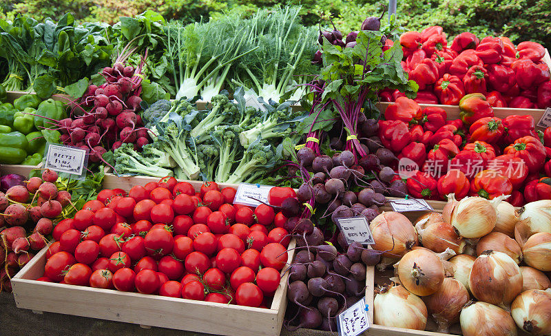 农贸市场生产番茄、甜菜、洋葱、花椰菜、辣椒和茴香