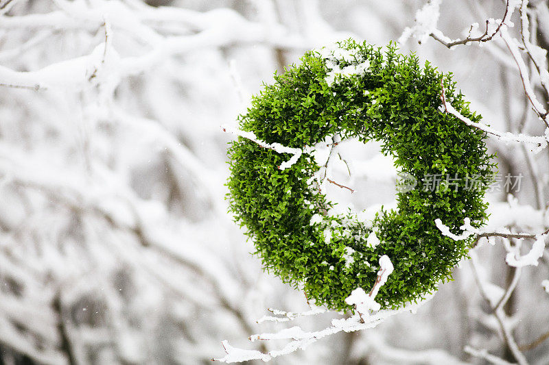 白雪覆盖的树枝上的常青花环