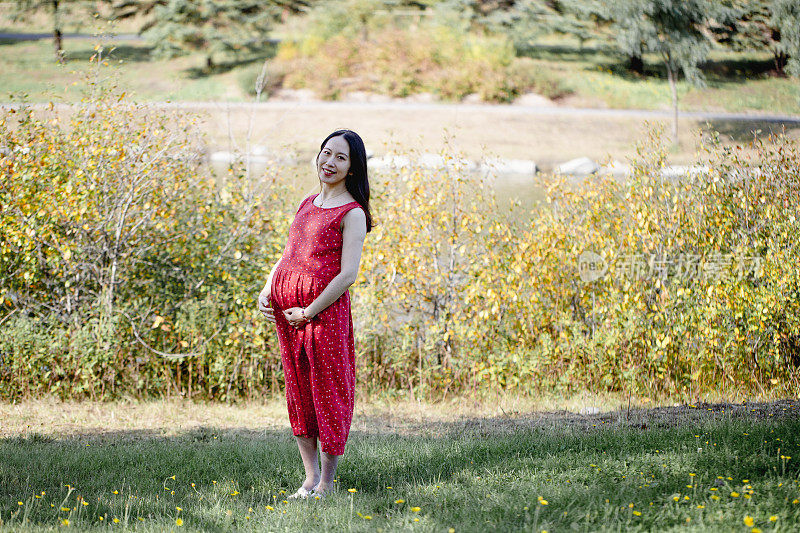 怀孕的中国女人和丈夫