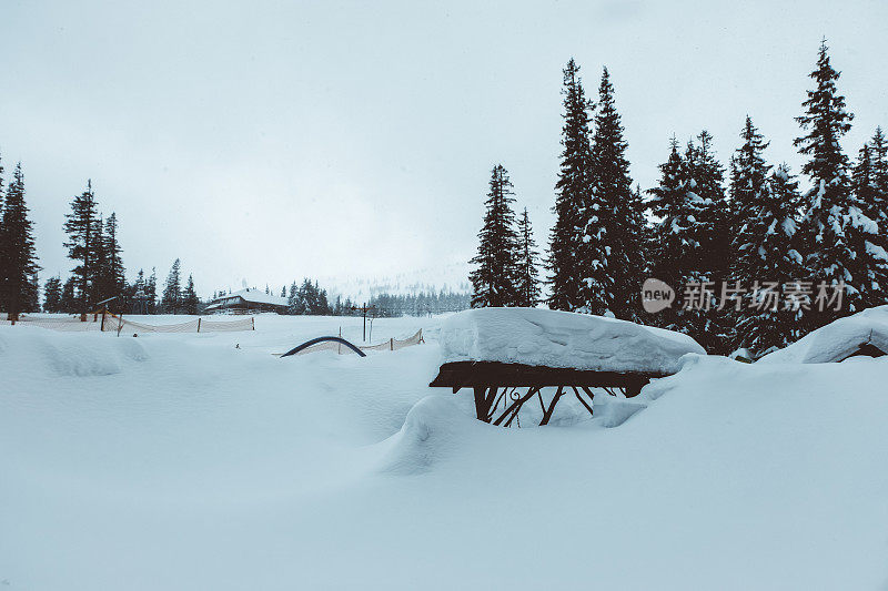 冬季，山地滑雪胜地的风景雾蒙蒙的，全是雪