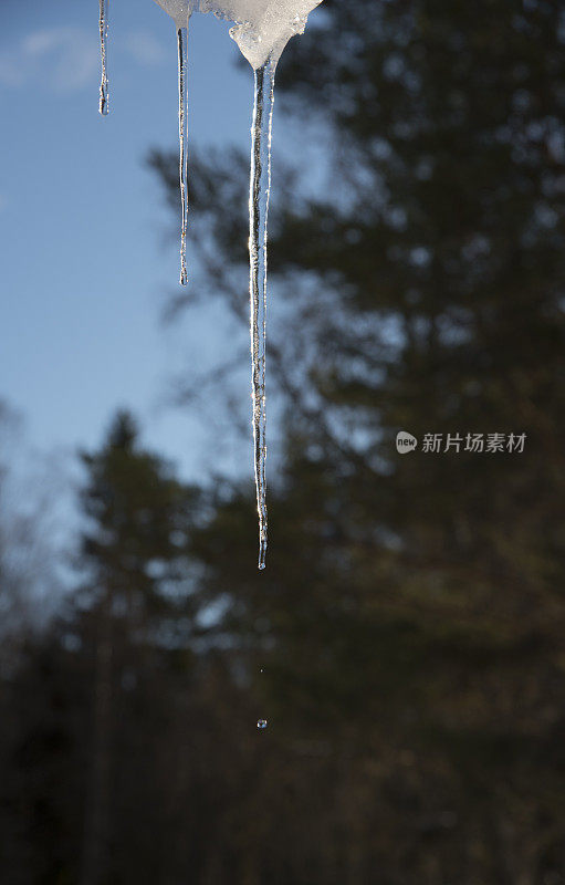 冰柱慢慢融化的特写镜头，水滴在空气中