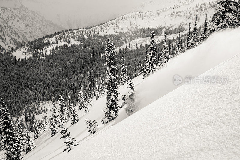 粉滑雪