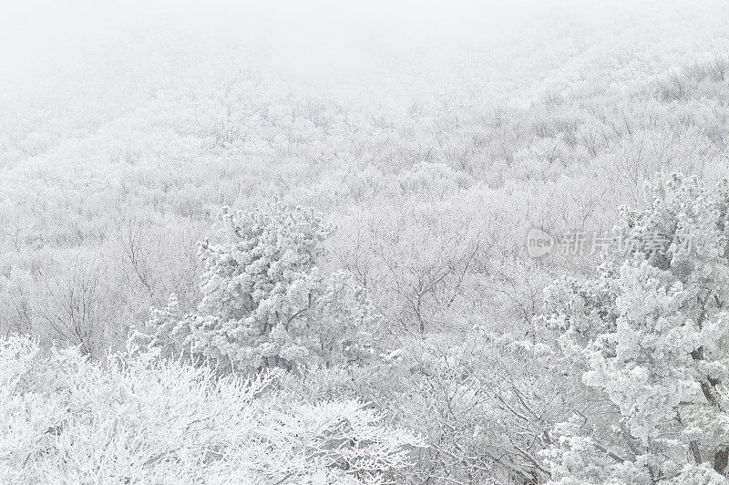 冬天的山