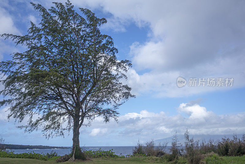 毛伊岛海景