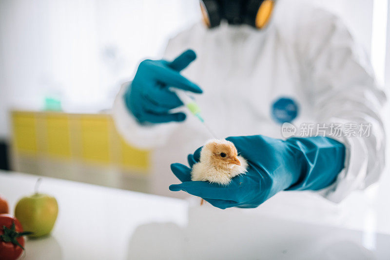 鸡肉生产的实验室测试