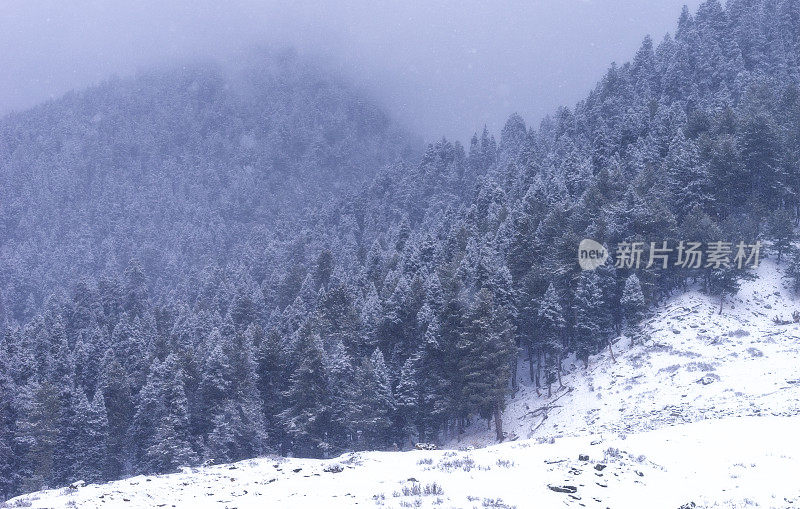 美丽的冬天的风景