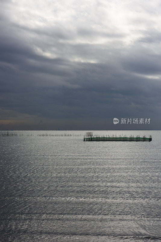 东京湾闪亮的大海