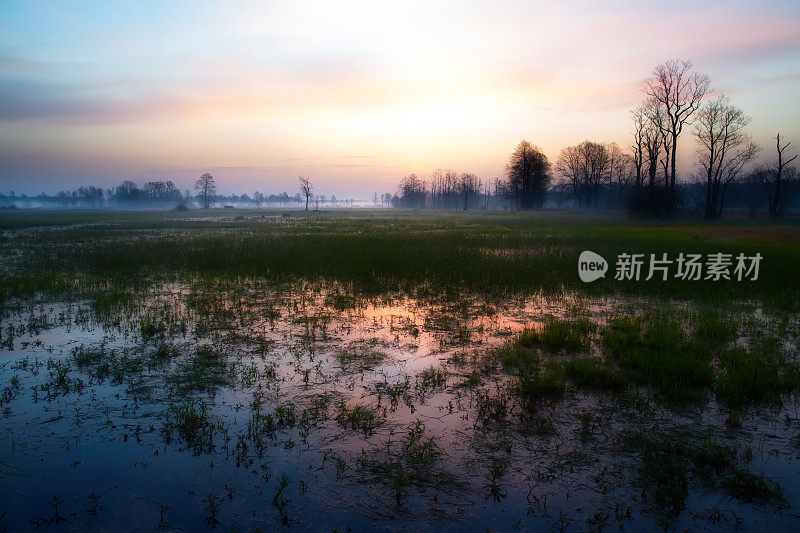 日出，草地，湿地地形