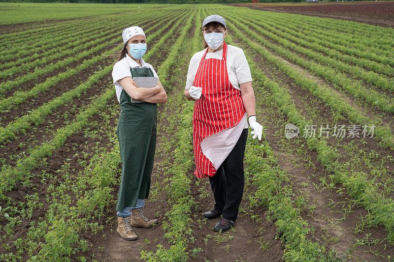 农民家庭在耕地上检查玫瑰种植园新苗的照片。在新冠肺炎大流行期间开展工作。农业职业。家族企业。