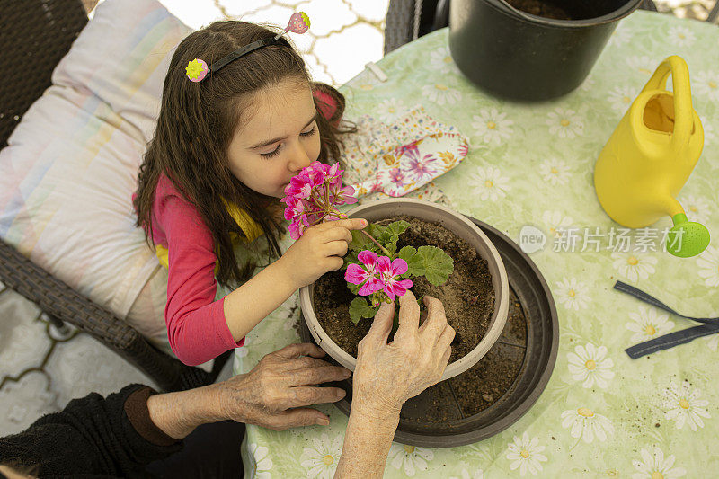 一位老奶奶和她的孙子正在种花