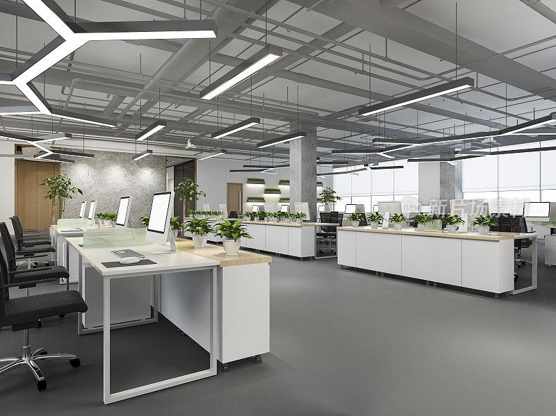 办公大楼的商务会议和工作室的3d效果图，植物装饰
