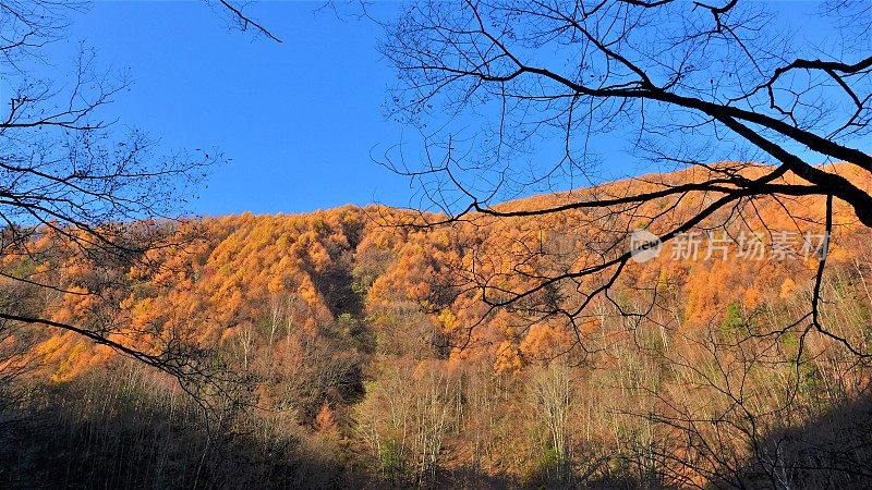 秋天的一座日本山