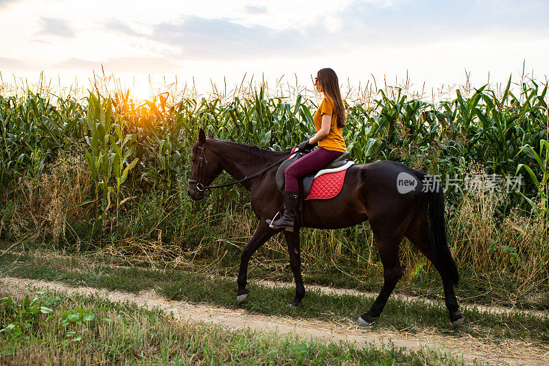 日落时分，一个年轻的女子骑着马在玉米地旁边