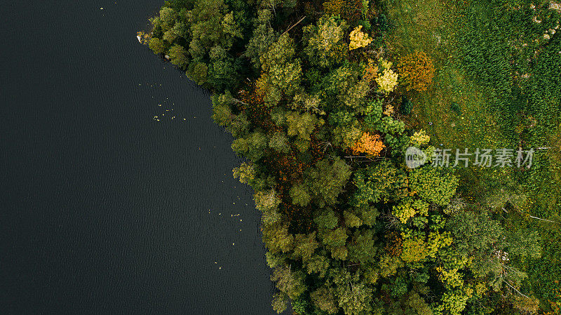 森林树木和湖泊的自然景观在瑞典无人机图像