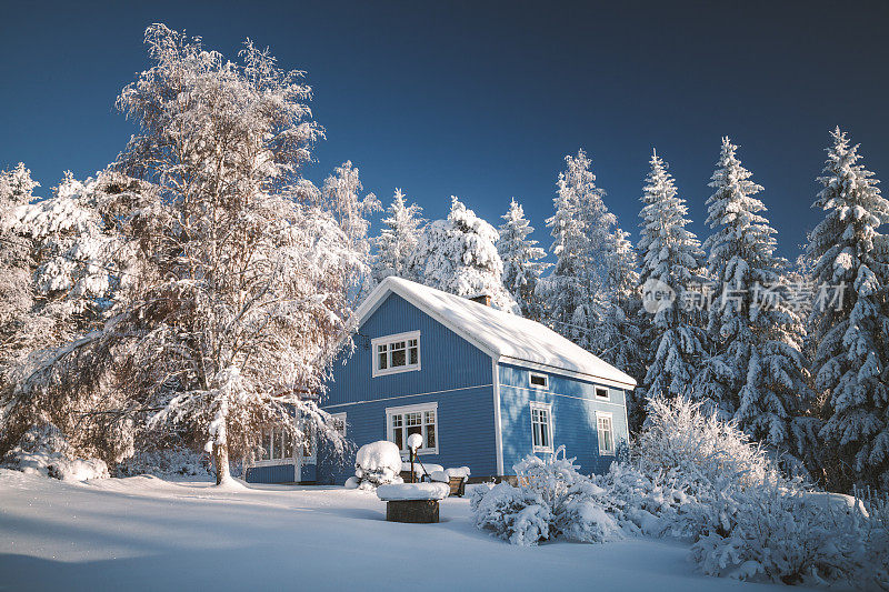 冬日仙境中的蓝屋