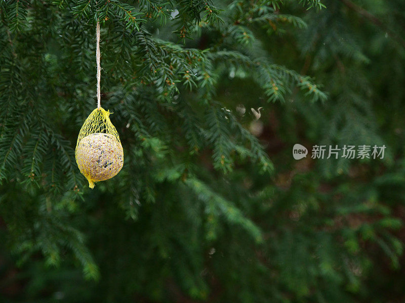 用种子和谷物制成的喂鸟器，放在树枝上供鸟儿食用。在冬季照顾动物和鸟类