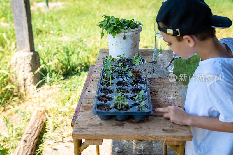 可爱的幼稚园小男孩在种树。他在家里的菜园里帮忙，玩得很开心