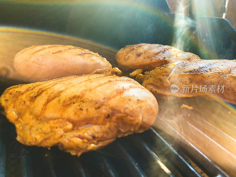 调味烤鸡胸肉户外烧烤食物西科罗拉多烹饪系列照片