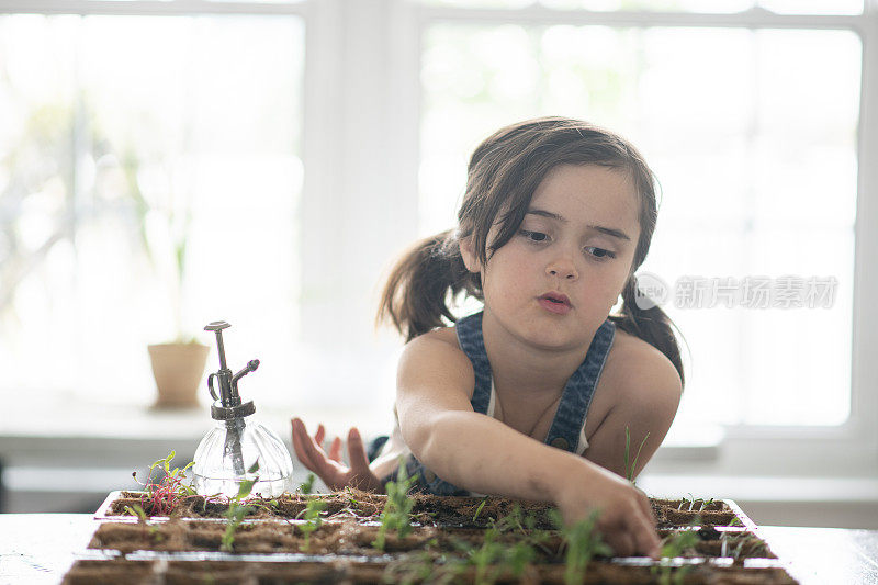 年轻的女孩看着她的植物在她的室内花园生长