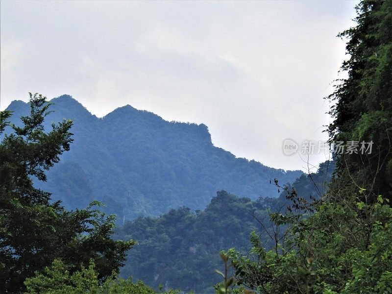 日本的蓝山。