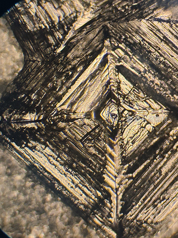盐晶体的显微镜图