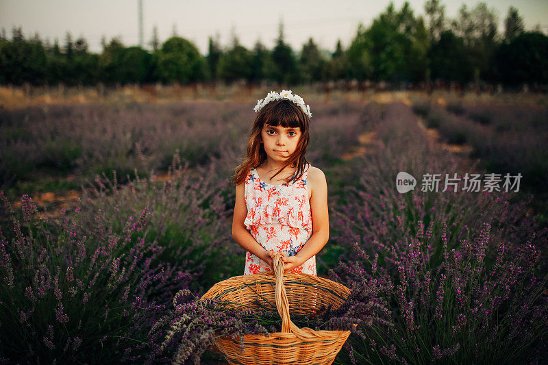 一个土耳其小女孩拿着一篮子薰衣草在薰衣草地里