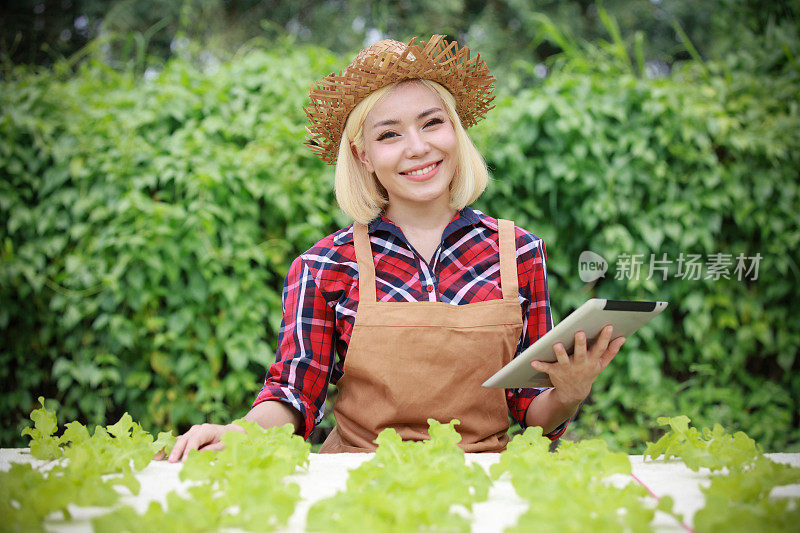 亚洲农民妇女收获绿色蔬菜在木盒