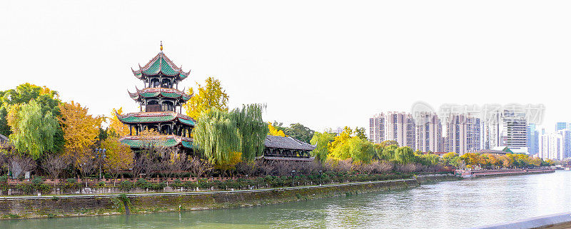 中国四川成都，望楼公园的美丽秋景，亭子俯瞰着蜿蜒的锦江