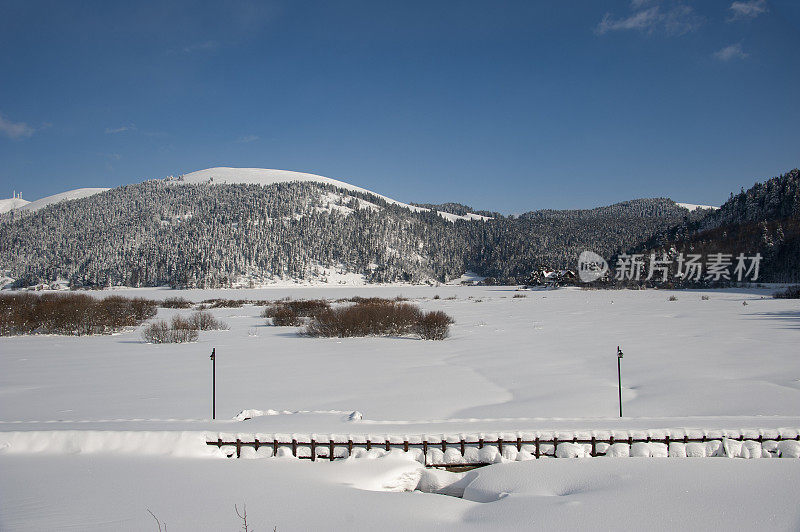 阿班特湖国家公园被雪覆盖的树步行道