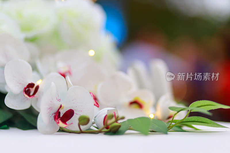 餐桌上装饰着美丽的白色兰花，散景背景