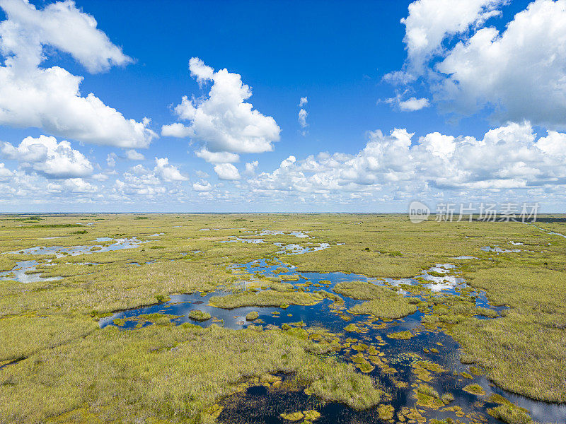 佛罗里达大沼泽地国家公园的鸟瞰图