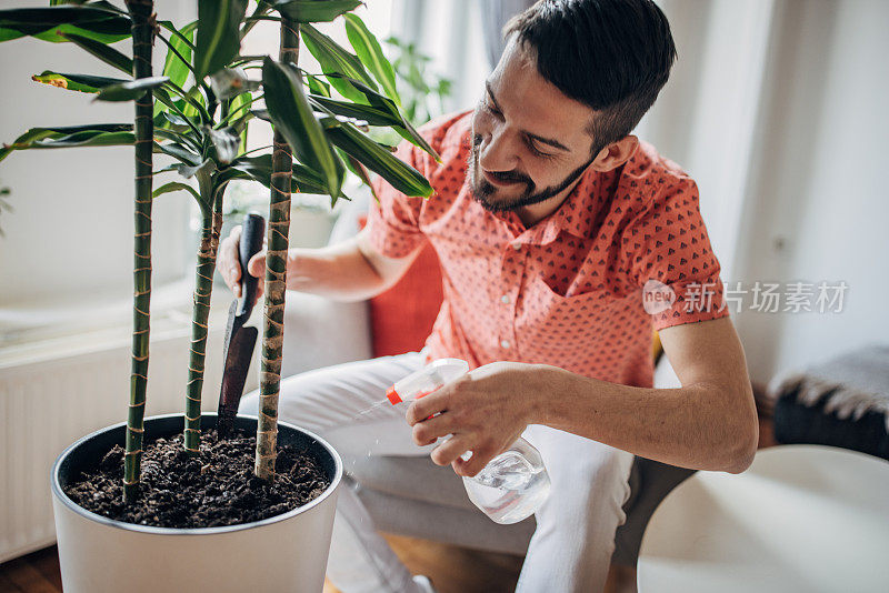 人工栽培室内植物