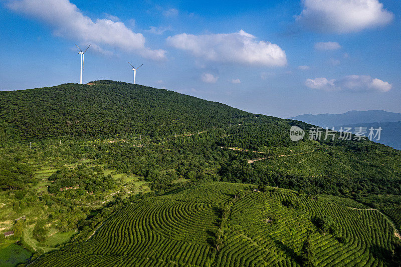 阳光明媚的日子里，山坡上种植园的鸟瞰图