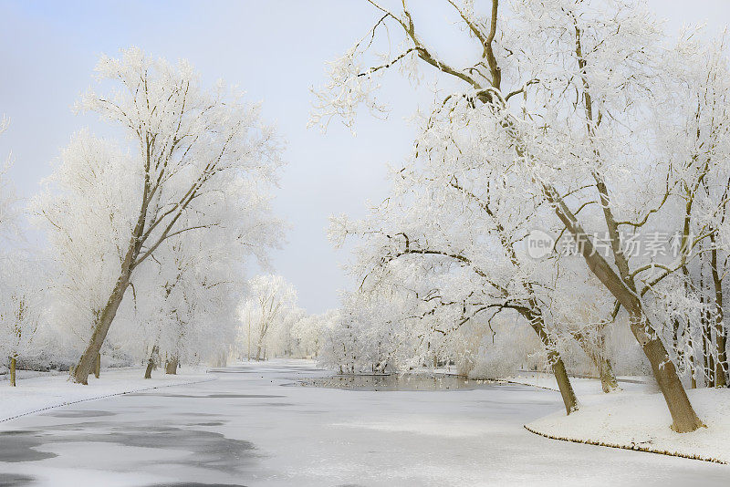 荷兰坎彭城市公园的冬日雪景