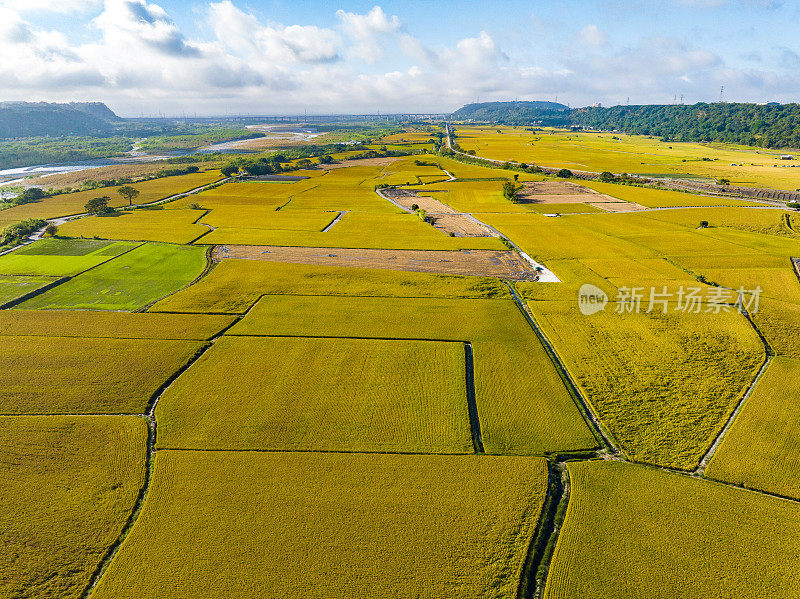 台湾水田鸟瞰图