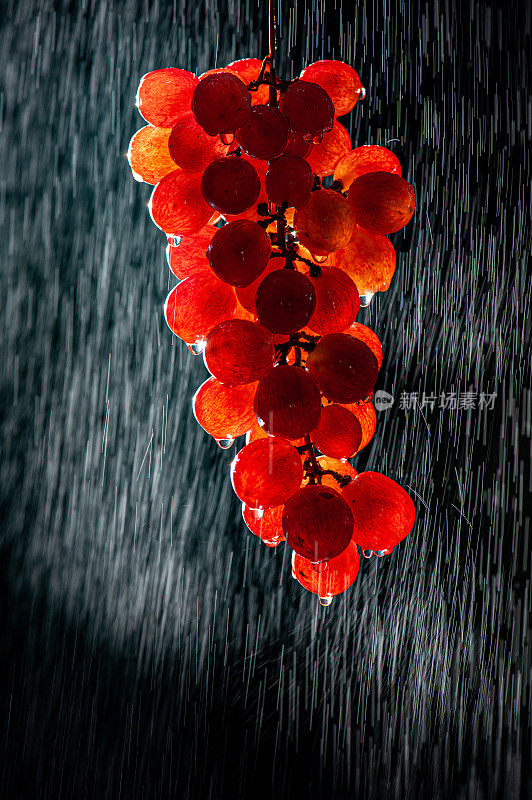 雨中的一串红葡萄